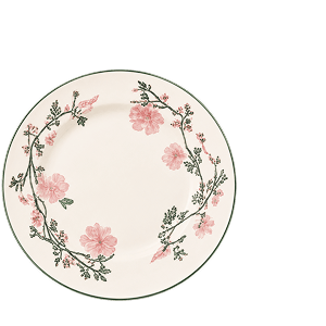 A floral-patterned dinner plate
